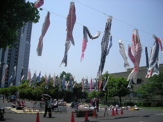carp streamers