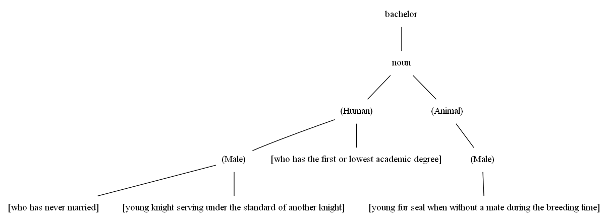 Componential Analysis of 