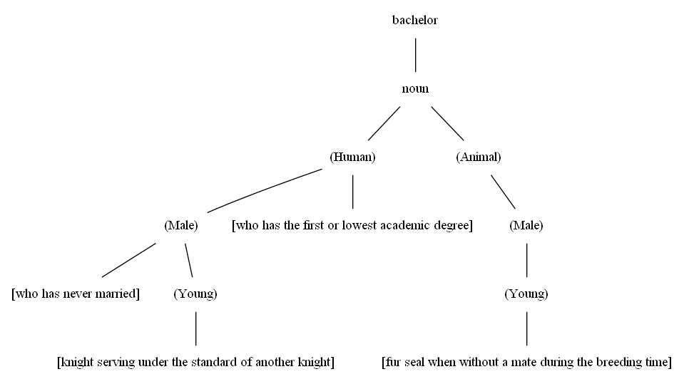 Componential Analysis of 