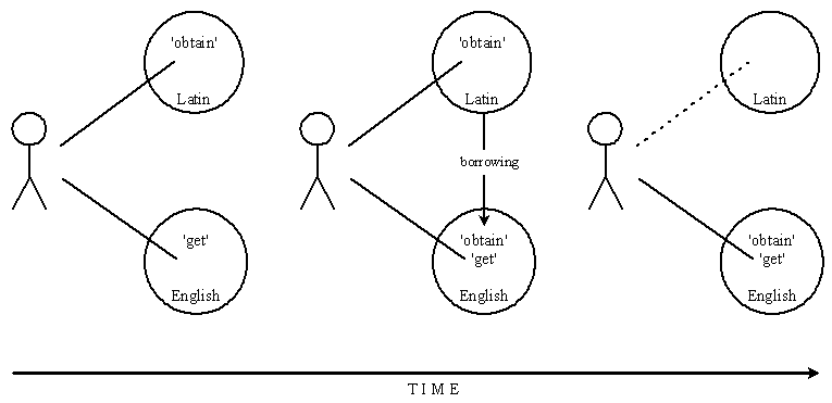 Diglossia and Borrowing