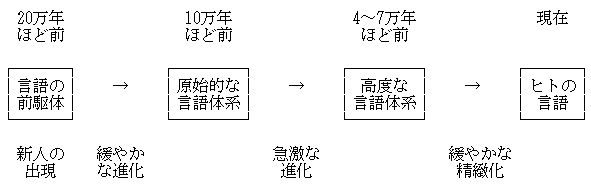 Evolution of Language like a Bonfire