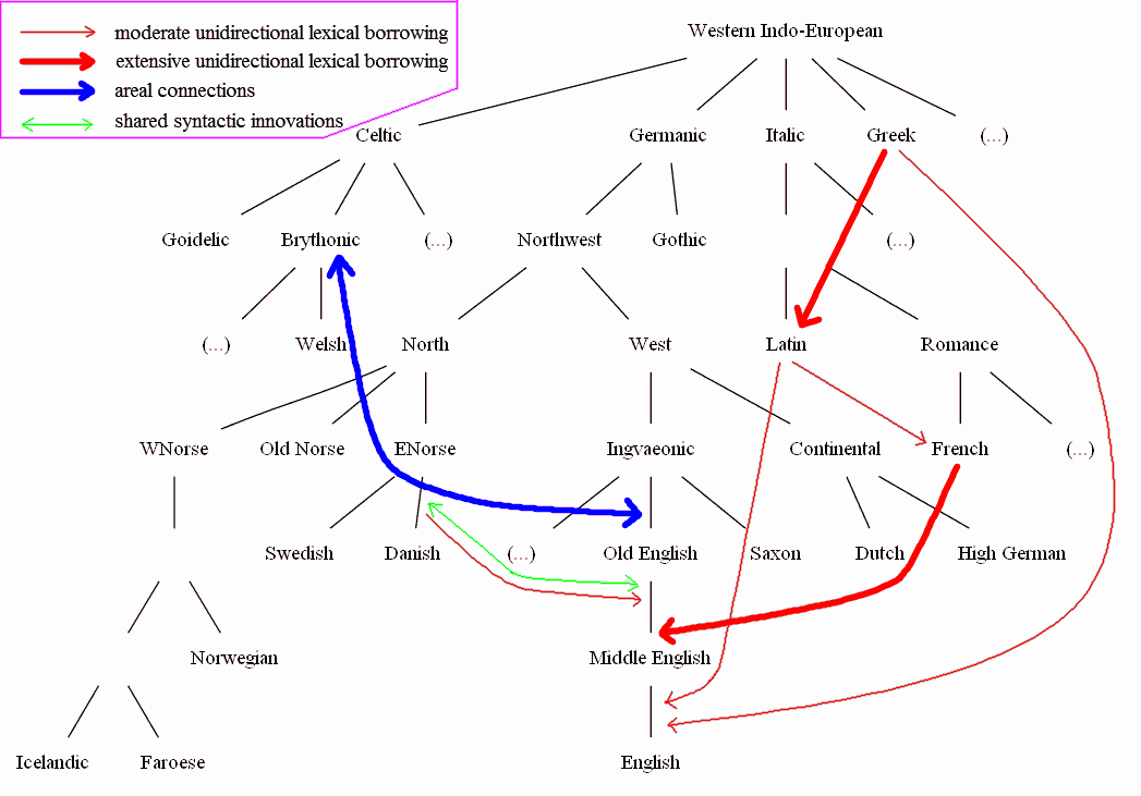 Family Tree with Interactive Contact of Western Indo-European and English