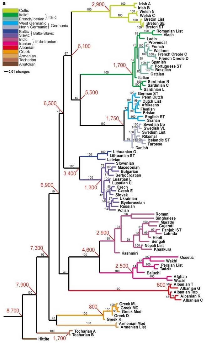 Gray and Atkinson's Family Tree of Indo-European