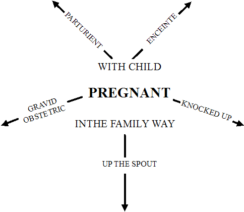 The Semantic Field of 