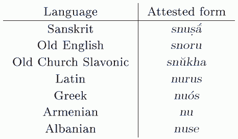 snoru_and_its_cognates