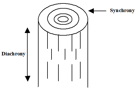 Tree-Trunk Analogy of Synchrony and Diachrony